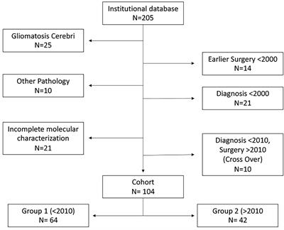 Early Surgery Prolongs Professional Activity in IDH Mutant Low-Grade Glioma Patients: A Policy Change Analysis